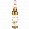 Monin Gingerbread / Perníkový sirup 0,7l - 1