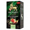 Richard zelený čaj Jahoda a Aloe Vera 25ks - 1
