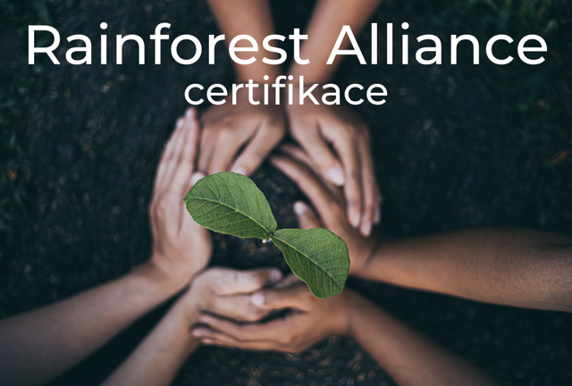 Ako je to? Rainforest Alliance certifikát