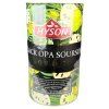 Hyson sypaný čierny čaj OPA Soursop 100g - 1