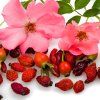 Rioba ovocný čaj Fruit Tea 50ks - 3