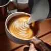 1 APS konvicka na mleko latte art nerezova