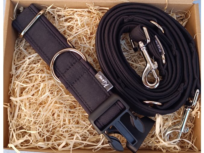 Obojek pro psa Klasik Černá