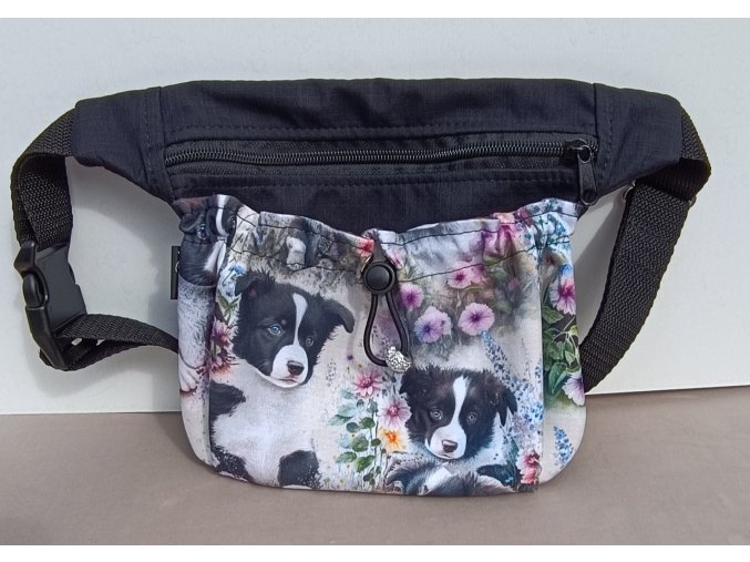 Pamlskovník ledvinkový Border kolie