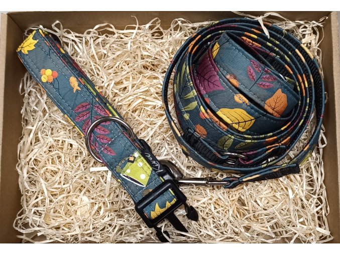 Obojek pro psa podzimní pohoda