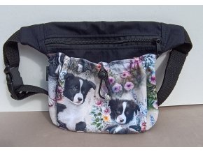 Pamlskovník ledvinkový Border kolie