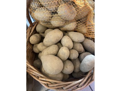 Brambory konzumní Antonie ČR cca 1 kg