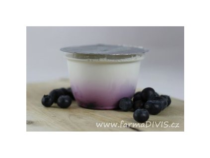 jogurt boruvka 200 g divis