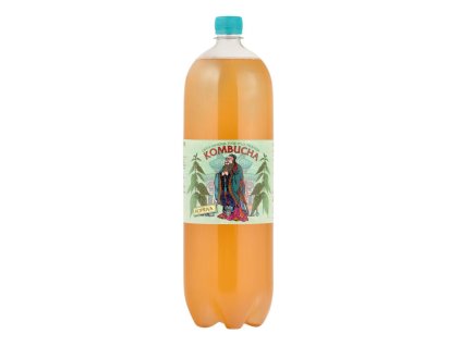 Kombucha 2 l Stevikom - více druhů