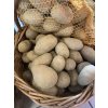 Brambory konzumní Antonie ČR cca 1 kg