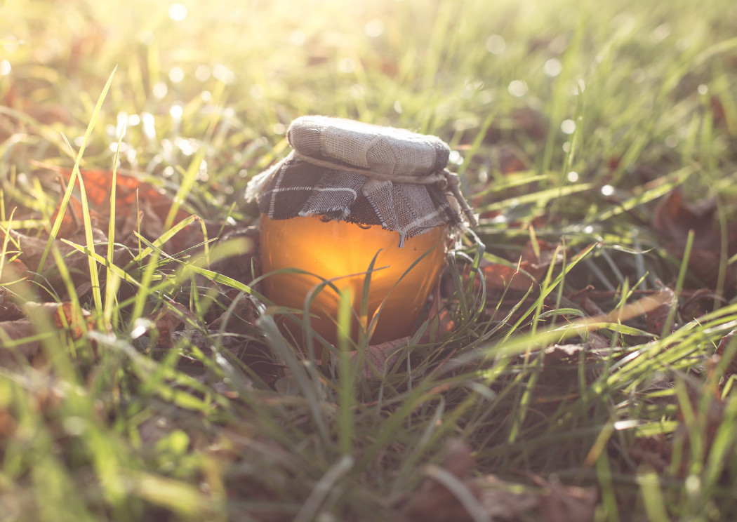 Akátový vs. květový med: Dva příběhy jedné krajiny