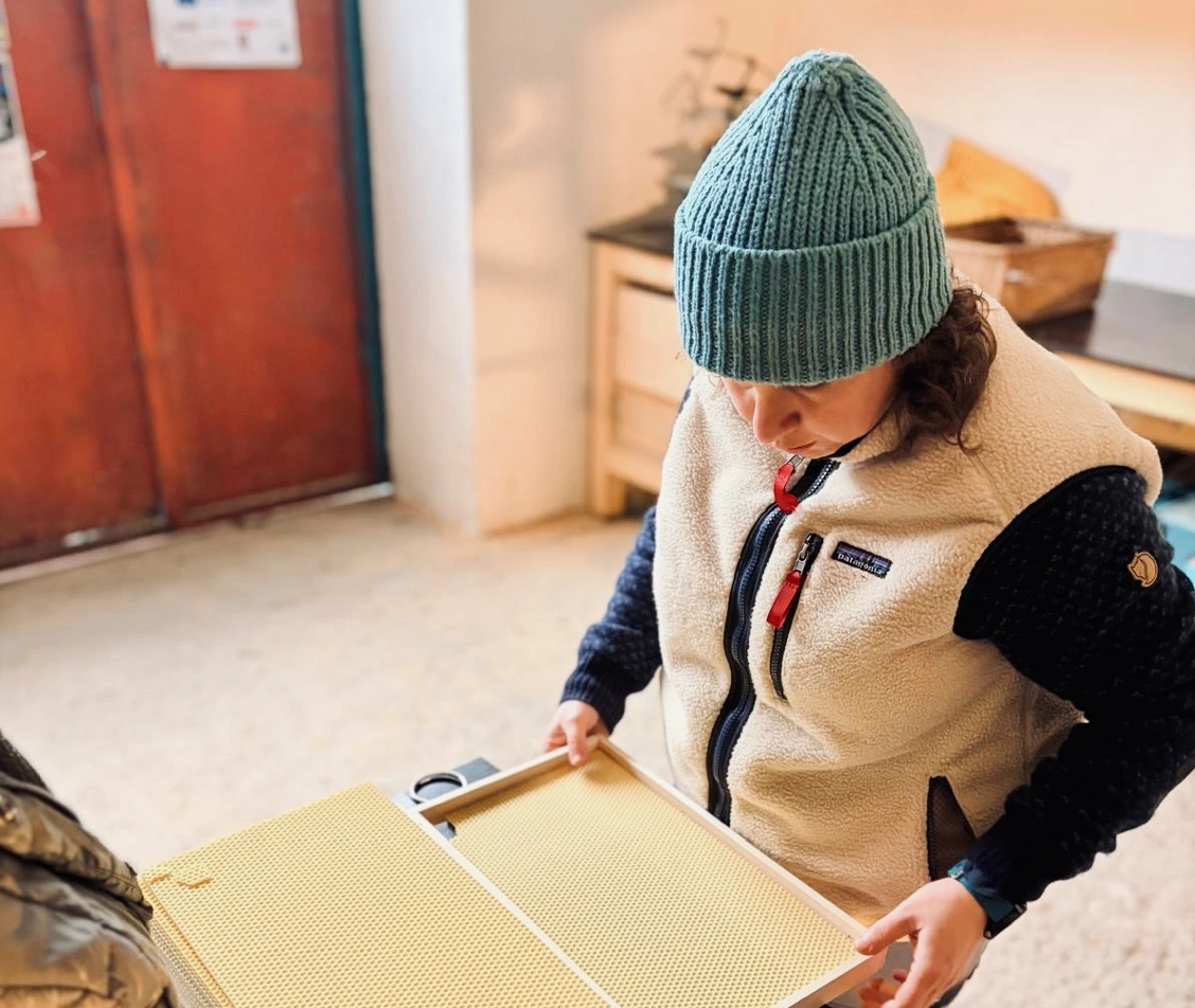 Kolik medu stojí jeden kilogram vosku?