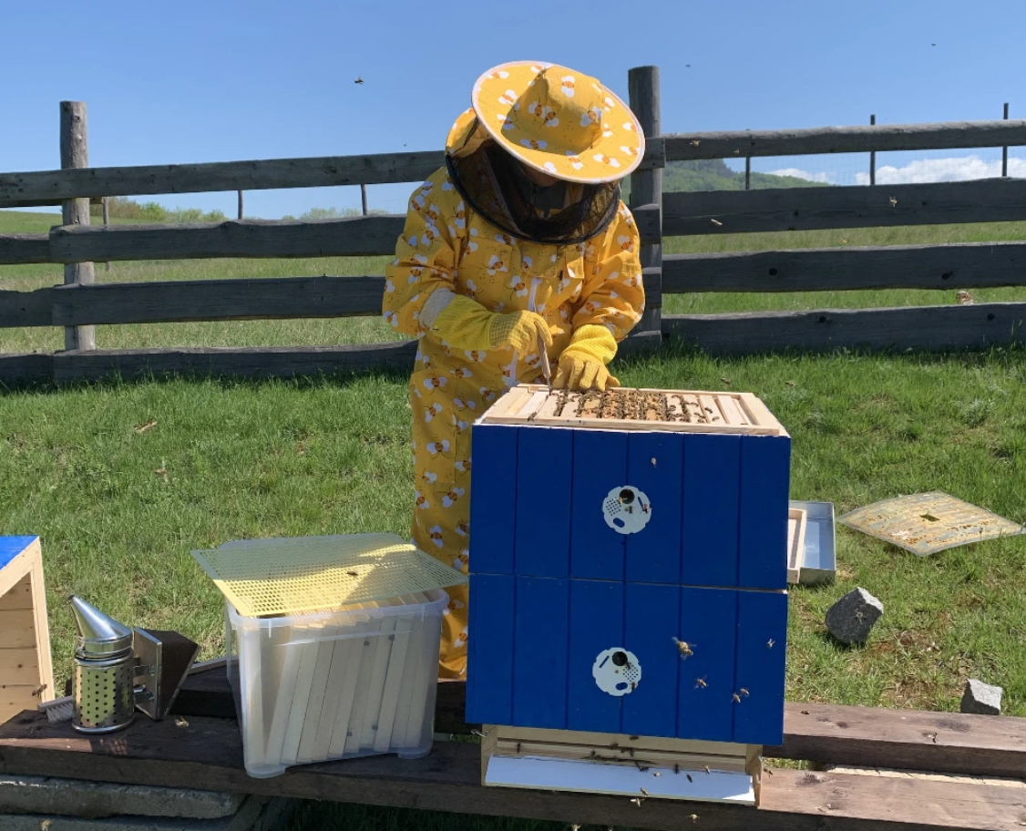Proč jsem založila Moje medonosky
