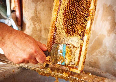 Jak probíhá medobraní