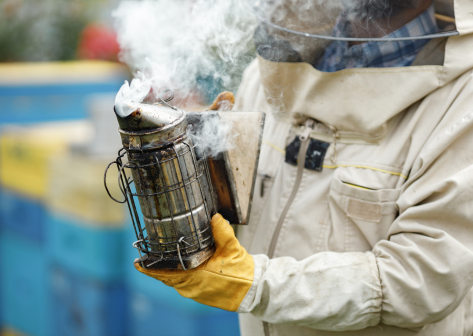 Vyplatí se pronájem úlu? Rozebrala jsem cenu 8 500 Kč do detailu