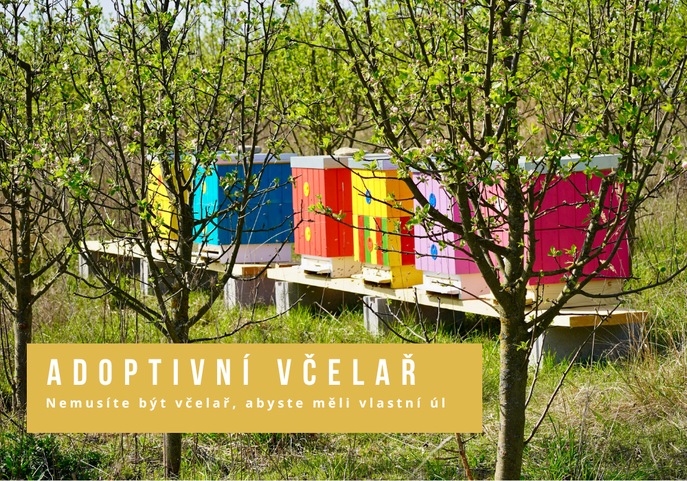 Adoptivní včelař