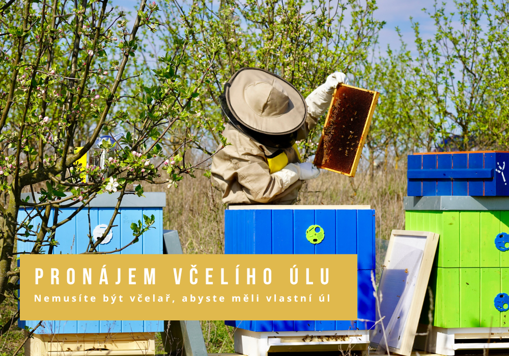 Pronájem úlu