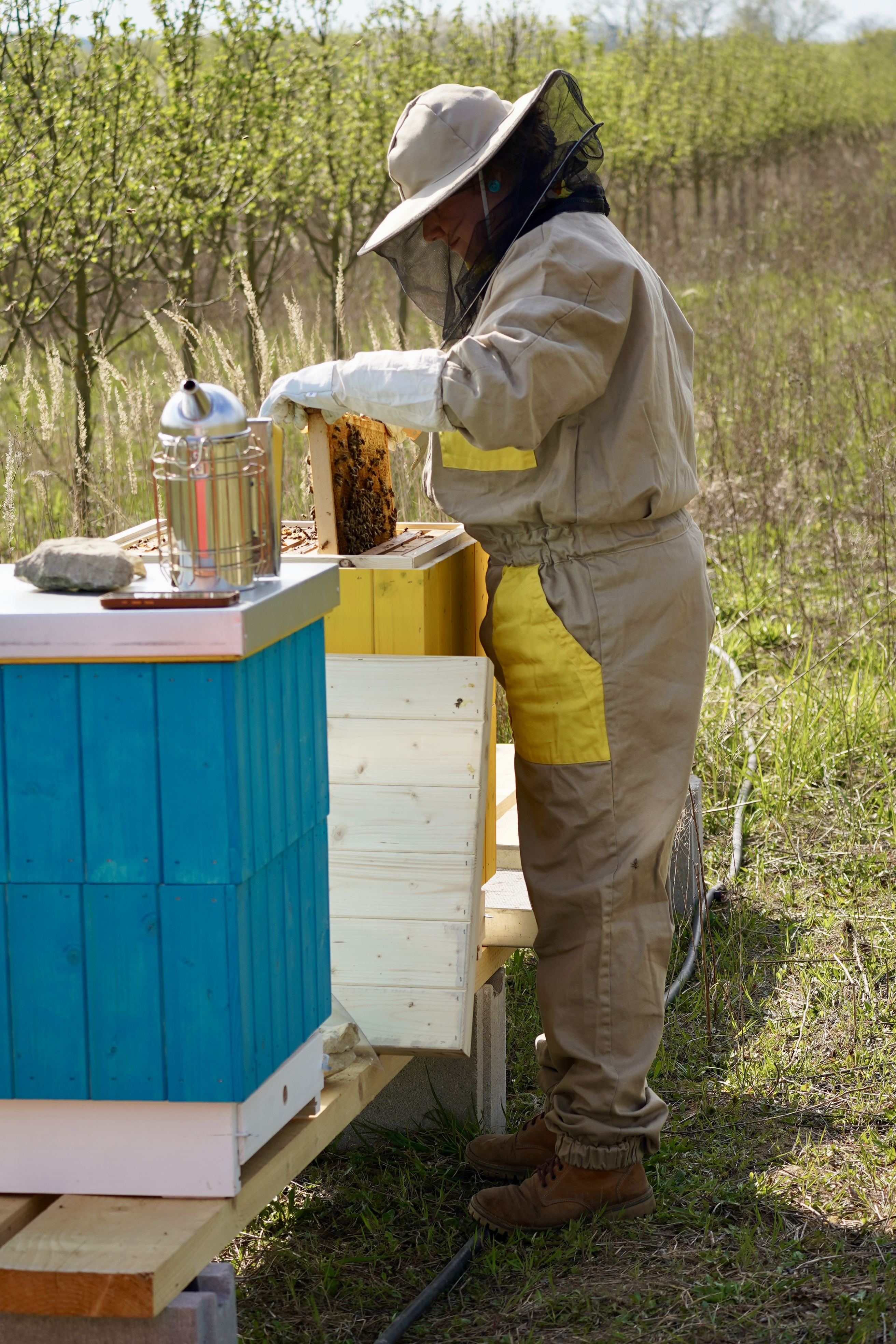 Pavlína - Moje Medonosky