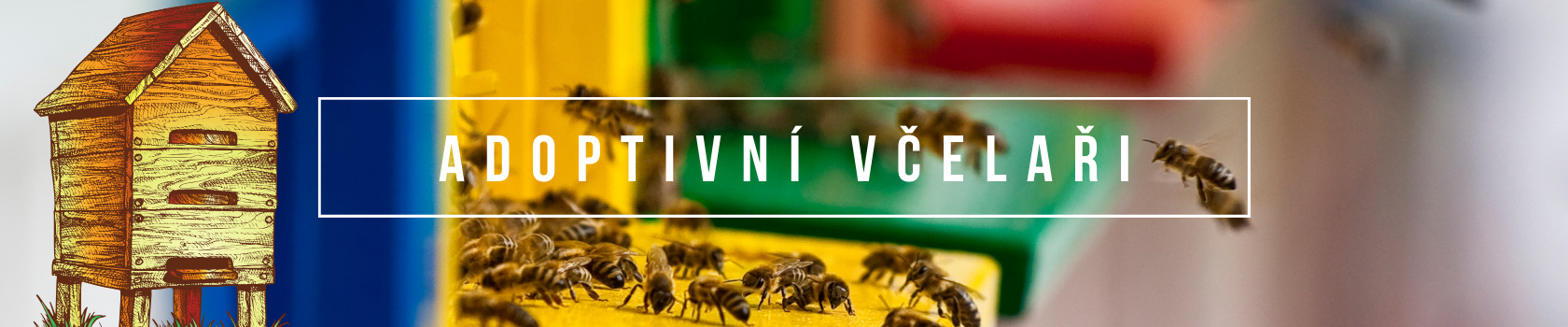adoptivni_vcelar