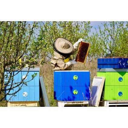 mojemedonosky den u vcel