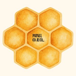 Poznej, co je co… 🐝 Medová plástev, nebo zavíčkovaný plod? U včel se věci nejlíp chápou, když je vidíš naživo. Včelařit...