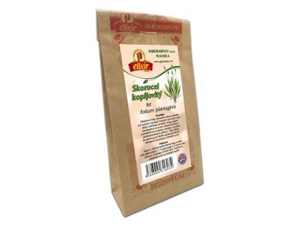 Skorocel kopijovitý list 30g