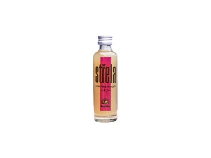 100 stavy Zazvorova strela – med 40 ml