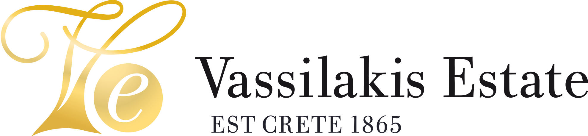 LOGO VE SITE C-1977x457