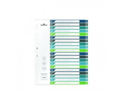 Plastový rozraďovač DURABLE 1-20 potlačiteľný farebný