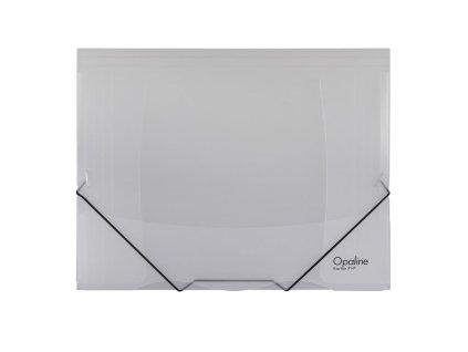 Plastový obal s gumičkou Karton PP Opaline, číry