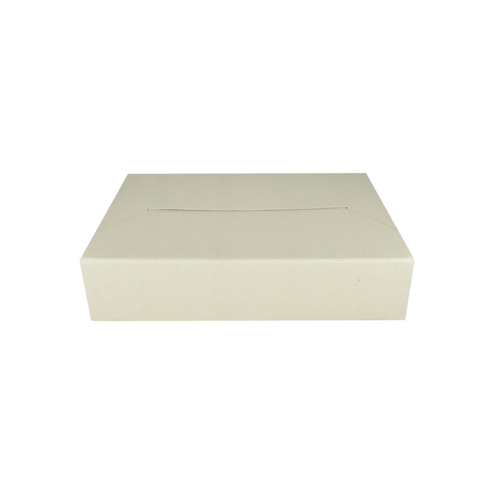 Archívny box EMBA TYP II/505