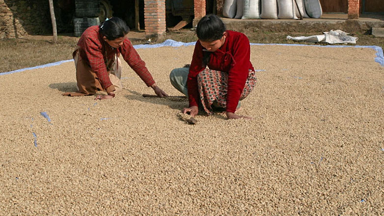 Nepal-11