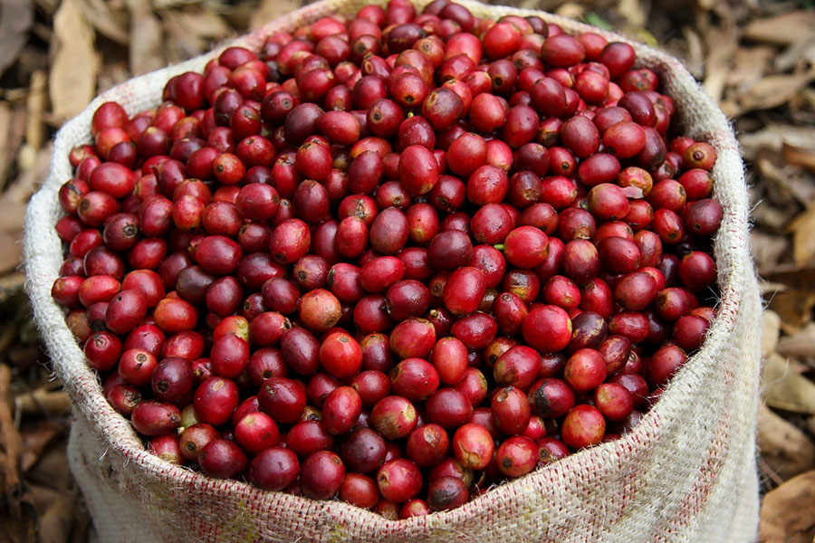 Nepal-9