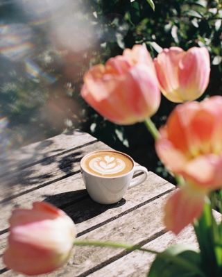 Sluníčko svítí, tulipány kvetou a káva z naší pražírny neodolatelně voní. ☕🌷 Co víc si přát?☀ Stavte se u nás pro svou...