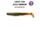 Scalp Minnow