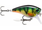 BX Big Brat Pike Limited