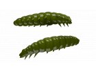 Larva 45mm