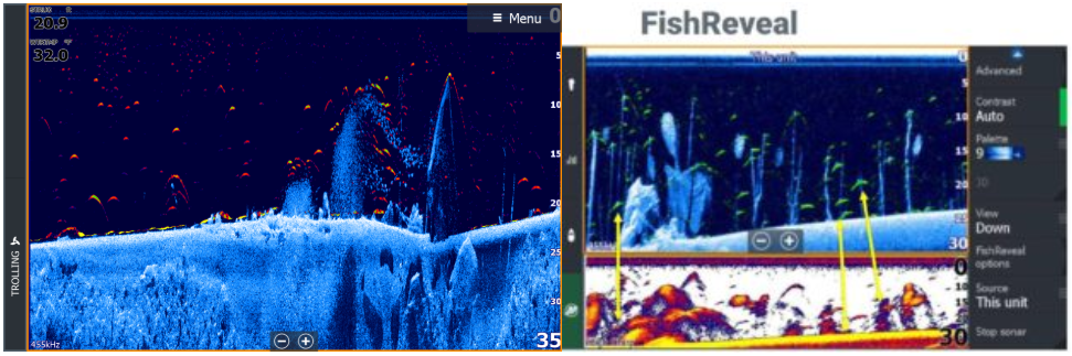 elite lowrance 2