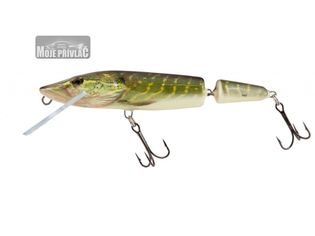 Pike fish. Аквитанская щука. Pike красноярск. Saskatchewan pike. Pike trickfoot.
