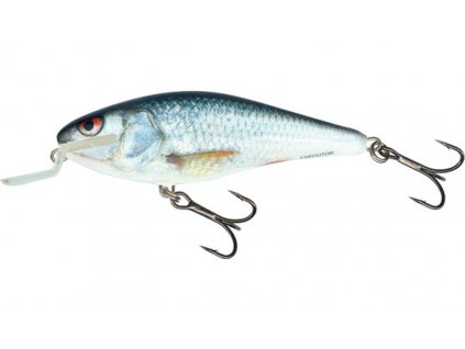 Wobler Salmo Executor Shallow Runner 12cm Floating Real Dace