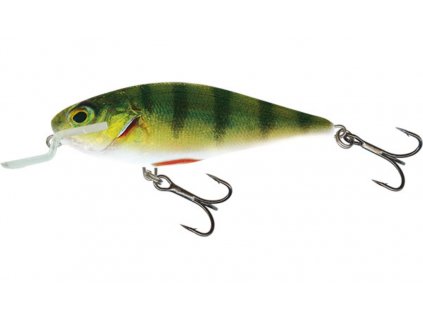 Wobler Salmo Executor Shallow Runner 12cm Floating Real Perch