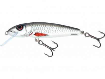 Wobler Salmo Minnow 5cm Floating Dace