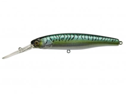 Green Mackarel