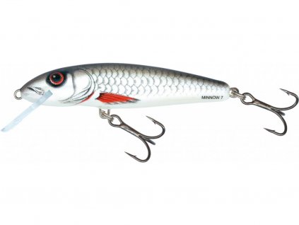 Wobler Salmo Minnow 7cm Sinking Dace