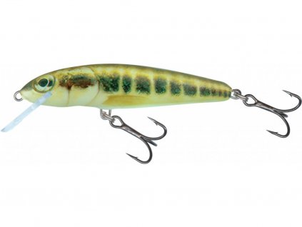 Wobler Salmo Minnow 7cm Sinking Minnow