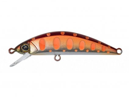 Copper Trout