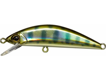 Gold Yamame illex