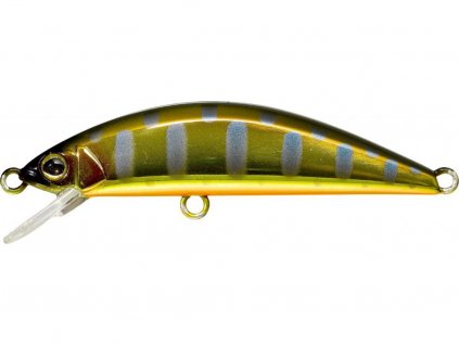Haku Gold Trout