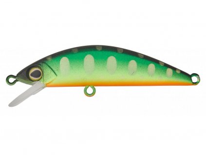 Mat Tiger Trout
