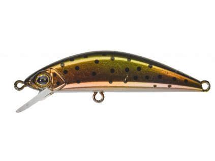 Acid Rainbow Trout